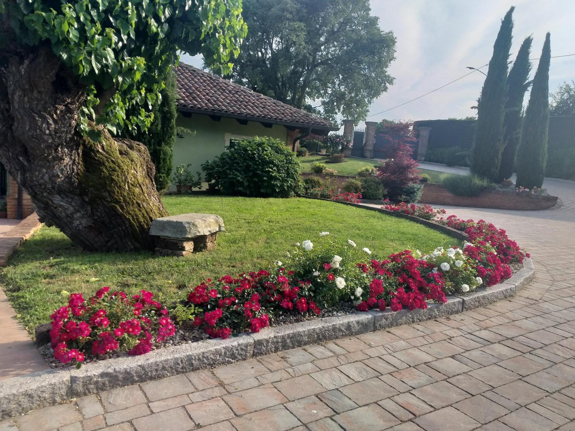 B&B La Bianchina Monale Ngoại thất bức ảnh